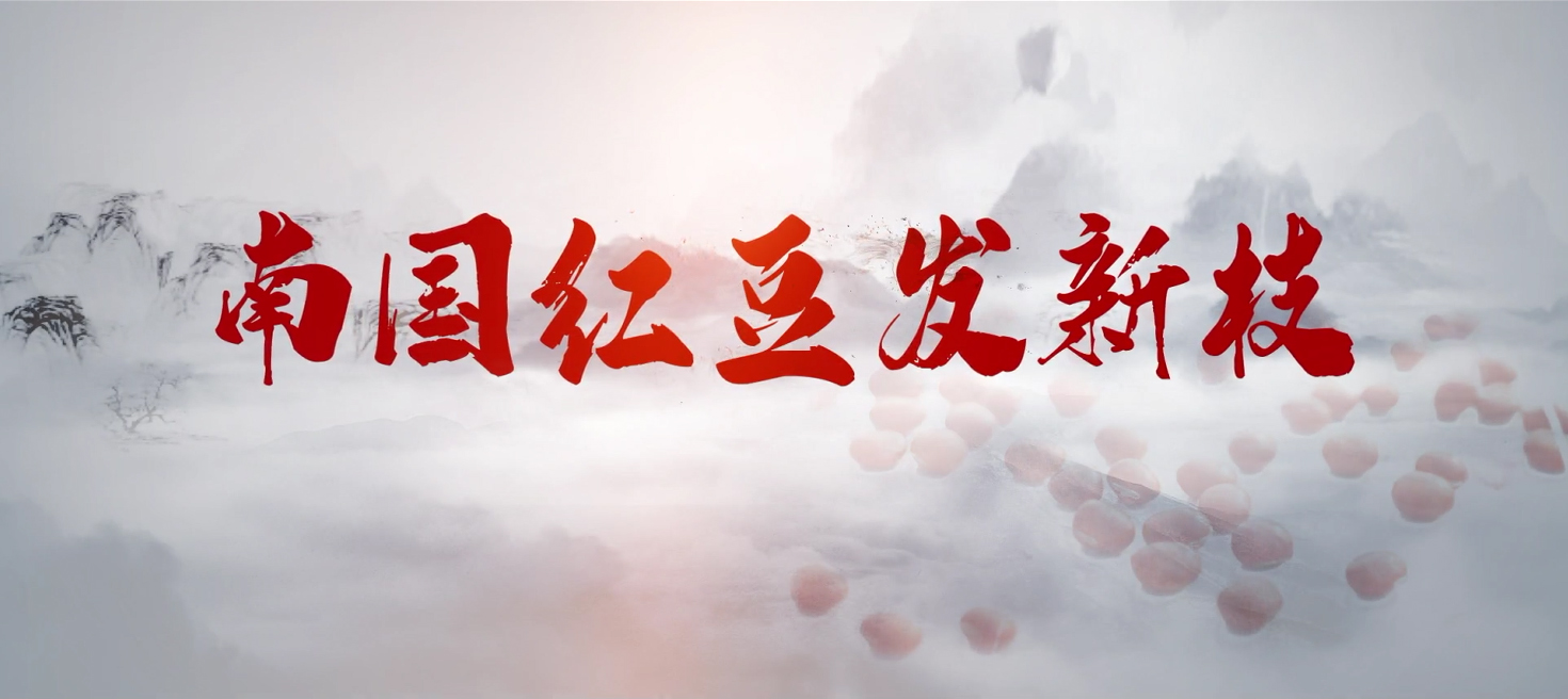 南国九游会J9发新枝