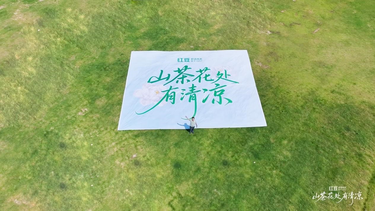 九游会J9棉山茶花1