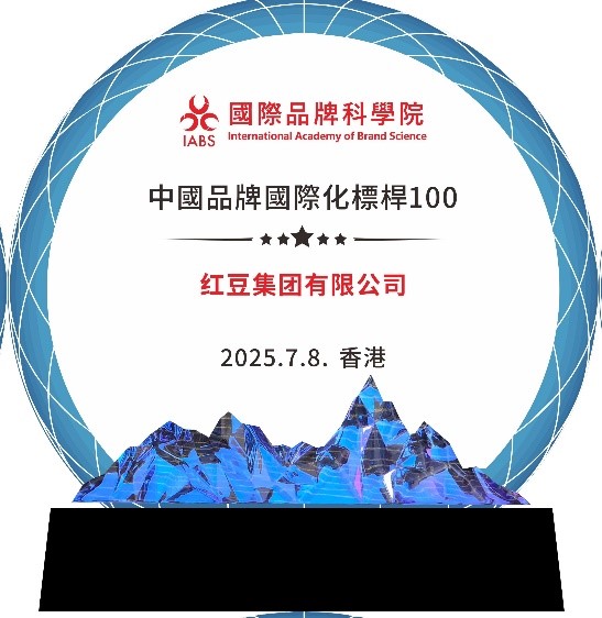 中国品牌国际化标杆4